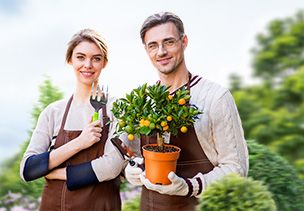 Проект «под ключ» где можно заказать по низкой цене  в Красноярске