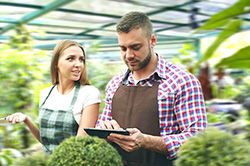 Дендроплан - верное планирование территории и решения этой задачи на уровне  в Красноярске