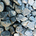 Kamenclub.ru: Щебень галтованный зеленый (змеевик) фр. 50-100 мм.  купить в Красноярске галтовка мраморная зеленый, салатовый мрамор 12 500 руб/т   фото КАМЕНЬ КЛУБ