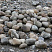 Kamenclub.ru: Речной валун (Ассорти) фр.100-300 мм.  купить в Красноярске галечник серый, темно-серый, светло-серый речная галька крупных размеров 4200 руб/т   фото КАМЕНЬ КЛУБ