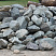 Kamenclub.ru: Гранит скальник (серо-зеленый) фр. 100-500 мм.  купить в Красноярске гранит зеленый, серый, салатовый крупный ландшафтный валун 6 000 руб/т   фото КАМЕНЬ КЛУБ
