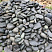 Kamenclub.ru: Темно-серый валунчик фр.100-300 мм.  купить в Красноярске крупный природный камень серый, темно-серый, светло-серый речная галька большого размера окатанная 4500 руб/т   фото КАМЕНЬ КЛУБ