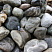 Kamenclub.ru: Речной валун Кабанчик фр.300-500 мм.  купить в Красноярске крупный природный камень галька серый, темно-серый речной валун галечник масштабный 7000 руб/т   фото КАМЕНЬ КЛУБ