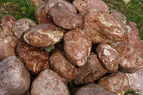 Kamenclub.ru: Розовый валунчик фр.100-300 мм.  купить в Красноярске крупный природный камень розовый, серый молочный красный речной галечник природный 7850 руб/т   фото КАМЕНЬ КЛУБ