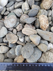 Kamenclub.ru: Галька речная окат (пестрая) фр. 20-40 мм. купить  в Красноярске галька речная пестрая, серая, серые оттенки галька речная окатанная округлая 5000 руб/т   фото КАМЕНЬ КЛУБ