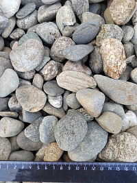 Kamenclub.ru: Галька речная окат (пестрая) фр. 20-40 мм. купить  в Красноярске галька речная пестрая, серая, серые оттенки галька речная окатанная округлая 5000 руб/т   фото КАМЕНЬ КЛУБ