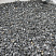 Kamenclub.ru: Щебень крошка черный (мрамор) фр. 10-20 мм.  купить в Красноярске мрамор черный с белыми прожилками, черный, белый каменная ландшафтная декоративная крошка щебня 11000 руб/т   фото КАМЕНЬ КЛУБ