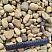 Kamenclub.ru: Галька речная окат рыжая фр. 20-40 мм. купить  в Красноярске галька речная окатанная рыжая желтая серая округлая речная галька 5000 руб/т   фото КАМЕНЬ КЛУБ