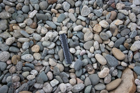 Kamenclub.ru: Галька речная окат (пестрая) фр. 20-40 мм. купить  в Красноярске галька речная пестрая, серая, серые оттенки галька речная окатанная округлая 5000 руб/т   фото КАМЕНЬ КЛУБ