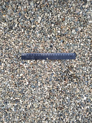 Kamenclub.ru: Галька речная окат (серая) фр.5-10 мм купить  в Красноярске галька речная серая, серый, темно-серый, светло-серый, коричневый речная окатанная галька декоративная ландшатфная 5000 руб/т   фото КАМЕНЬ КЛУБ