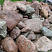 Kamenclub.ru: Конгломераты фр. 300-1000 мм.  купить в Красноярске кварц мрамор диабаз коричневый, серый зеленоватый речной валун крупный 6500 руб/т   фото КАМЕНЬ КЛУБ