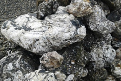 Kamenclub.ru: Черный гранит - кварцит фр. 100-500 мм.  купить в Красноярске мрамор гранит черный с белыми прожилками, серый, белый валун скальный колотый 7000 руб/т   фото КАМЕНЬ КЛУБ