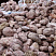 Kamenclub.ru: Розовый валунчик фр.100-300 мм.  купить в Красноярске крупный природный камень розовый, серый молочный красный речной галечник природный 7850 руб/т   фото КАМЕНЬ КЛУБ