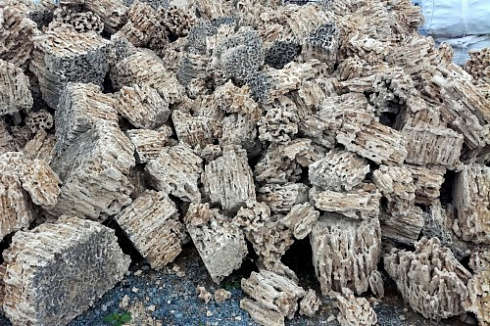 Kamenclub.ru: Крымский природный меотис фр. 100-500 мм.  купить в Красноярске меотис бежевый рыжий молочный желтый ракушечник 4 500 руб/т   фото КАМЕНЬ КЛУБ