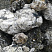 Kamenclub.ru: Черный гранит - кварцит фр. 100-500 мм.  купить в Красноярске мрамор гранит черный с белыми прожилками, серый, белый валун скальный колотый 7000 руб/т   фото КАМЕНЬ КЛУБ