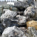 Kamenclub.ru: Черный гранит - кварцит фр. 500-1000 мм.  купить в Красноярске гранит кварцит черный серый белый скальный колотый валун 9750 руб/т   фото КАМЕНЬ КЛУБ