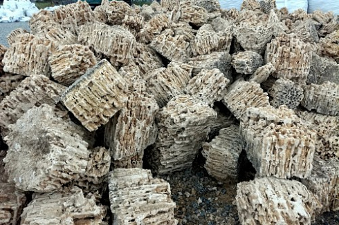 Kamenclub.ru: Крымский природный меотис фр. 100-500 мм.  купить в Красноярске меотис бежевый рыжий молочный желтый ракушечник 4 500 руб/т   фото КАМЕНЬ КЛУБ