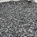 Kamenclub.ru: Щебень крошка черный (мрамор) фр. 40-70 мм.  купить в Красноярске мрамор черный с белыми прожилками, черный, белый декоративный щебень 11000 руб/т   фото КАМЕНЬ КЛУБ