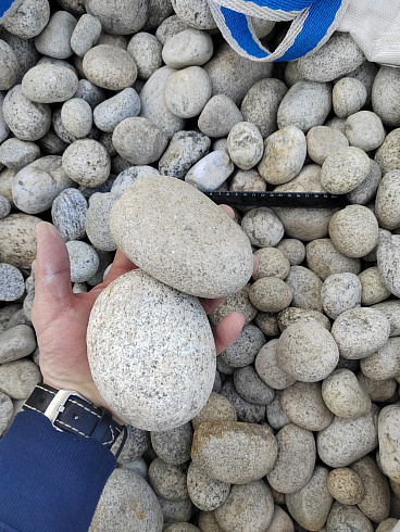 Kamenclub.ru: Галька речная окат (серо-белая) фр. 70-120 мм купить  в Красноярске галька галечник бело-серая, серо-белая, серая, белая речная природная галька  8000 руб/т   фото КАМЕНЬ КЛУБ