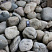 Kamenclub.ru: Темно-серый валунчик фр.100-300 мм.  купить в Красноярске крупный природный камень серый, темно-серый, светло-серый речная галька большого размера окатанная 4500 руб/т   фото КАМЕНЬ КЛУБ