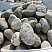 Kamenclub.ru: Речной валун (Ассорти) фр.100-300 мм.  купить в Красноярске галечник серый, темно-серый, светло-серый речная галька крупных размеров 4200 руб/т   фото КАМЕНЬ КЛУБ