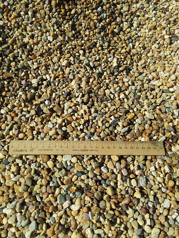 Kamenclub.ru: Галька окат (серо-желтая) фр.5-10 мм. купить  в Красноярске галька речная рыжий, желтый, рыжий, серо-желтый речная окатанная галька декоративная 5000 руб/т   фото КАМЕНЬ КЛУБ
