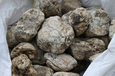 Kamenclub.ru: Кварцевый валунчик фр.100-300 мм.  купить в Красноярске кварц белый, бежевый молочный рыжий крупный природный камень галечник 7850 руб/т   фото КАМЕНЬ КЛУБ