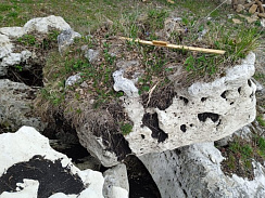 Kamenclub.ru: Выветренный известняк (степной) фр. 500-1500 мм.  купить в Красноярске    10000 руб/т   фото КАМЕНЬ КЛУБ