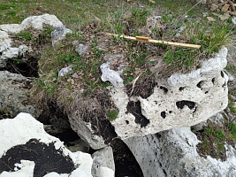 Kamenclub.ru: Выветренный известняк (степной) фр. 500-1500 мм.  купить в Красноярске    10000 руб/т   фото КАМЕНЬ КЛУБ