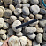 Kamenclub.ru: Галька речная окат (серо-белая) фр. 70-120 мм купить  в Красноярске галька галечник бело-серая, серо-белая, серая, белая речная природная галька  8000 руб/т   фото КАМЕНЬ КЛУБ