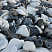 Kamenclub.ru: Мраморная крошка (щебень галтованный микс:: белый-черный) фр.20-40 мм  купить в Красноярске мрамор белый, черный мраморный галтованный щебень 15500 руб/т   фото КАМЕНЬ КЛУБ