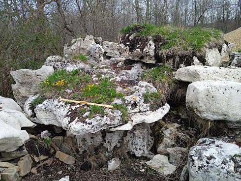 Kamenclub.ru: Выветренный известняк со мхом фр. 100-500 мм.  купить в Красноярске известняк серый белый зеленый валун известняковый крупный 10000 руб/т   фото КАМЕНЬ КЛУБ