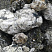 Kamenclub.ru: Черный гранит - кварцит фр. 100-500 мм.  купить в Красноярске мрамор гранит черный с белыми прожилками, серый, белый валун скальный колотый 7000 руб/т   фото КАМЕНЬ КЛУБ