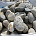 Kamenclub.ru: Речной валун (Ассорти) фр.100-300 мм.  купить в Красноярске галечник серый, темно-серый, светло-серый речная галька крупных размеров 4200 руб/т   фото КАМЕНЬ КЛУБ
