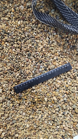 Kamenclub.ru: Галька окат (серо-желтая) фр.5-10 мм. купить  в Красноярске галька речная рыжий, желтый, рыжий, серо-желтый речная окатанная галька декоративная 5000 руб/т   фото КАМЕНЬ КЛУБ