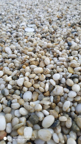 фото Галька крымская жемчужная фр. 10-20 мм. в интернет-портале КАМЕНЬ КЛУБ