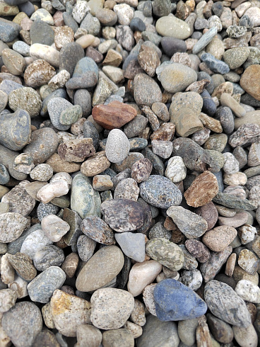 Kamenclub.ru: Галька речная окат (серая) фр.10-20 мм купить  в Красноярске галька речная серая, серый, темно-серый, светло-серый, коричневый ландшафтная декоративная речная окатанная округлая галька 5000 руб/т   фото КАМЕНЬ КЛУБ
