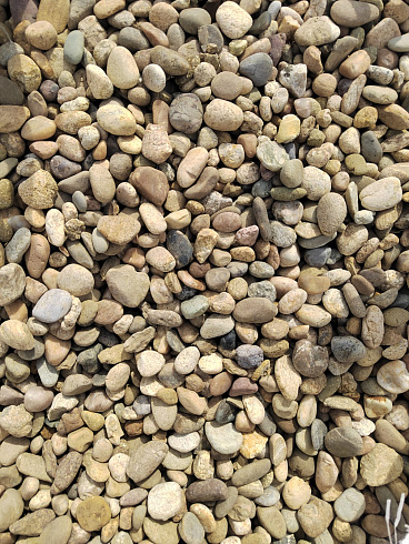 Kamenclub.ru: Галька речная окат рыжая фр. 20-40 мм. купить  в Красноярске галька речная окатанная рыжая желтая серая округлая речная галька 5000 руб/т   фото КАМЕНЬ КЛУБ