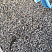 Kamenclub.ru: Галька речная окат (серая) фр.3-5 мм купить  в Красноярске галька речная серая бежевый темно-серый окатанный речной камень округлый 9500 руб/т   фото КАМЕНЬ КЛУБ