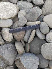 Kamenclub.ru: Галька речная плоская (ассорти) фр. 70-150 мм. купить в Красноярске галька галечник серый белый темно-серый синий светло-серый плоская природная галька  9000 руб/т   фото КАМЕНЬ КЛУБ