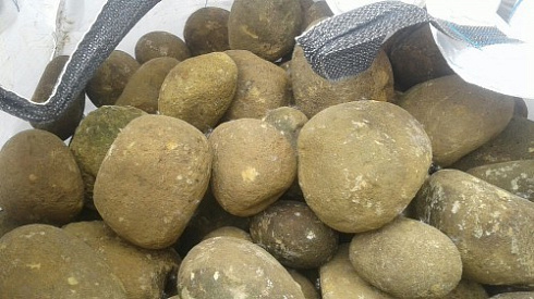 Kamenclub.ru: Песчаник ядра, фр. 100-300 мм  купить в Красноярске песчаник бежевый серый рыжий речная галька 5 000 руб/т   фото КАМЕНЬ КЛУБ