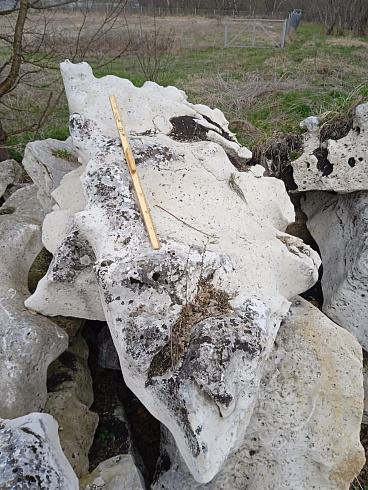 Kamenclub.ru: Выветренный известняк со мхом фр. 100-500 мм.  купить в Красноярске известняк серый белый зеленый валун известняковый крупный 10000 руб/т   фото КАМЕНЬ КЛУБ