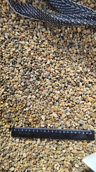 Kamenclub.ru: Галька окат (серо-желтая) фр.5-10 мм. купить  в Красноярске галька речная рыжий, желтый, рыжий, серо-желтый речная окатанная галька декоративная 5000 руб/т   фото КАМЕНЬ КЛУБ