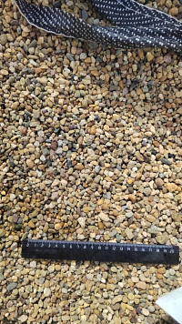 Kamenclub.ru: Галька окат (серо-желтая) фр.5-10 мм. купить  в Красноярске галька речная рыжий, желтый, рыжий, серо-желтый речная окатанная галька декоративная 5000 руб/т   фото КАМЕНЬ КЛУБ