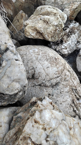 Kamenclub.ru: Кварцевый валунчик фр.100-300 мм.  купить в Красноярске кварц белый, бежевый молочный рыжий крупный природный камень галечник 7850 руб/т   фото КАМЕНЬ КЛУБ