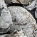 Kamenclub.ru: Кварцевый валунчик фр.100-300 мм.  купить в Красноярске кварц белый, бежевый молочный рыжий крупный природный камень галечник 7850 руб/т   фото КАМЕНЬ КЛУБ