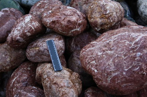 Kamenclub.ru: Розовый валунчик фр.100-300 мм.  купить в Красноярске крупный природный камень розовый, серый молочный красный речной галечник природный 7850 руб/т   фото КАМЕНЬ КЛУБ