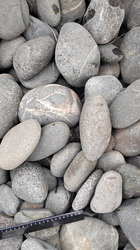 Kamenclub.ru: Галька речная окат (темно-серая) фр. 70-150 мм. купить  в Красноярске галька речная темно-серая, синяя, серая речная галька округлая  8000 руб/т   фото КАМЕНЬ КЛУБ