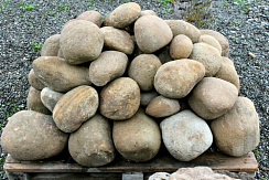 Kamenclub.ru: Песчаник ядра, фр. 100-300 мм  купить в Красноярске песчаник бежевый серый рыжий речная галька 5 000 руб/т   фото КАМЕНЬ КЛУБ