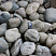 Kamenclub.ru: Речной валун (Ассорти) фр.100-300 мм.  купить в Красноярске галечник серый, темно-серый, светло-серый речная галька крупных размеров 4200 руб/т   фото КАМЕНЬ КЛУБ